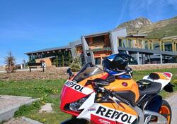 Honda CBR 1000 RR Fireblade SP (2014 - 16) usata