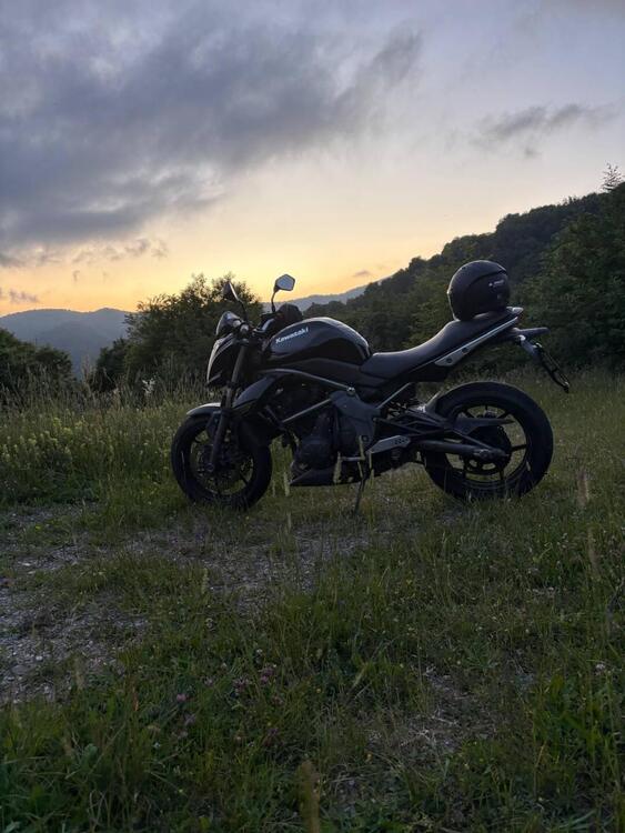 Kawasaki ER-6N (2009 - 11) (2)