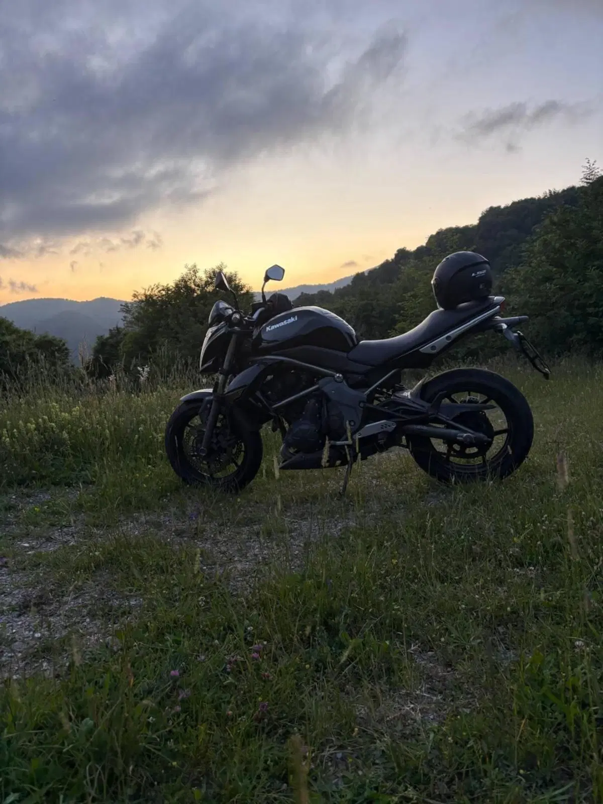 Kawasaki ER-6N (2009 - 11) (2)