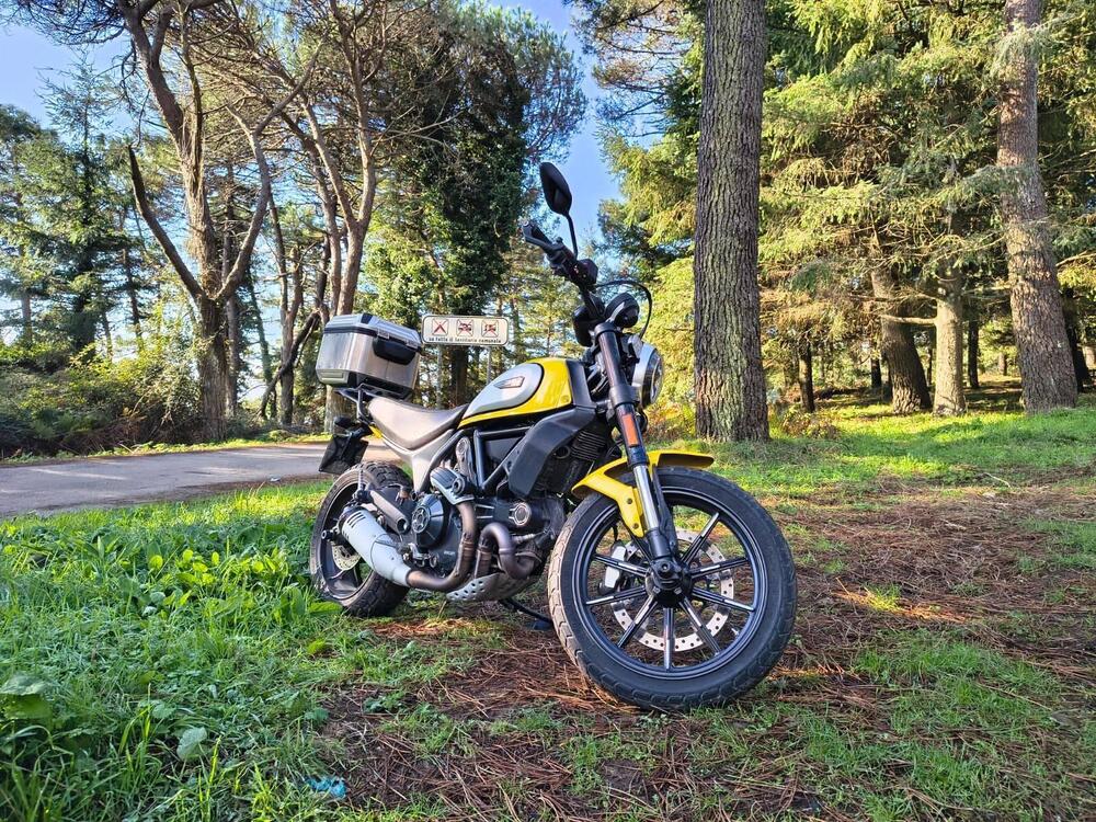 Ducati Scrambler 800 Icon (2017 - 20)