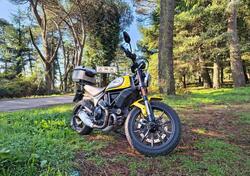 Ducati Scrambler 800 Icon (2017 - 20) usata