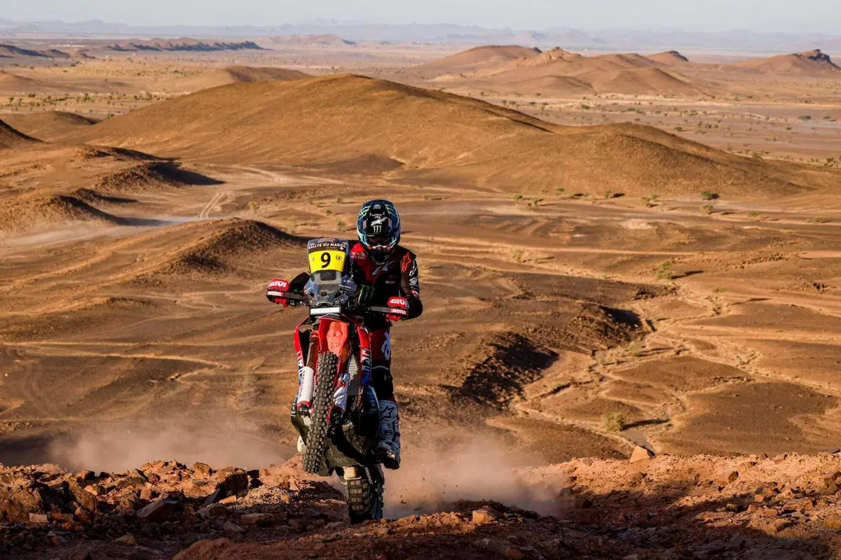 Rally-Raid. Marocco flash, D3. Ancora Schareina, e Lategan. Sanders e Loeb al comando [VIDEO] (3)