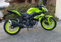 Benelli BN 125 (2021 - 25) usata