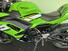 Kawasaki Ninja 650 (2025 - 26) (14)