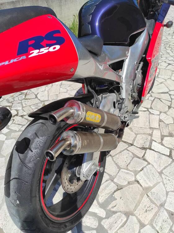 Aprilia RS 250 (1998 - 02) (4)
