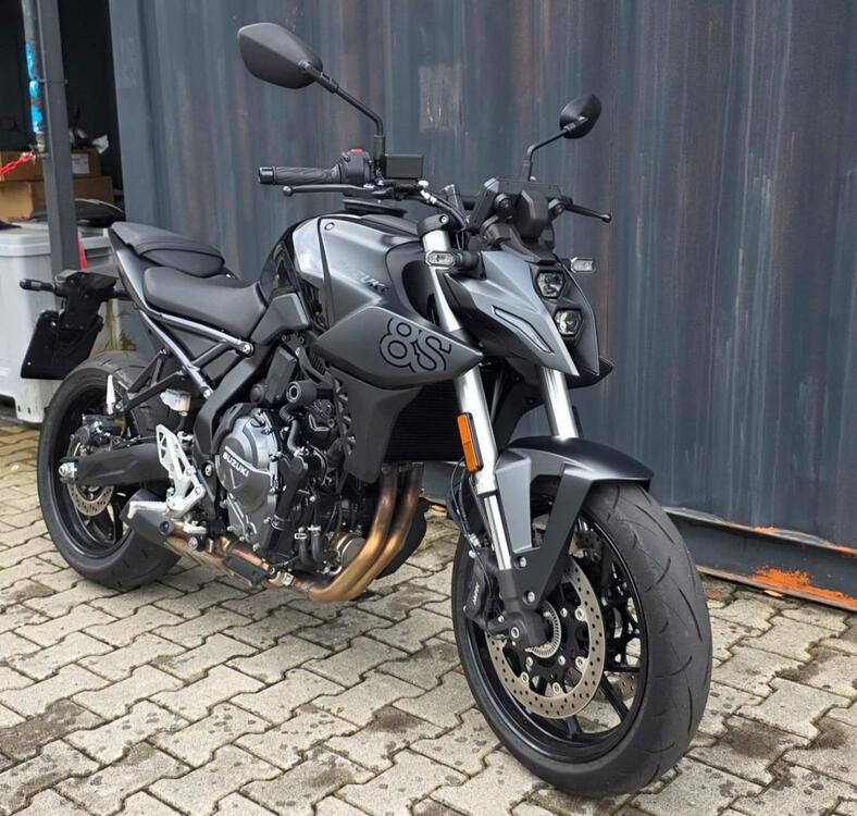 Suzuki GSX-8S (2023 - 24) (3)