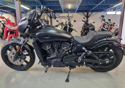 Indian Scout 1133 Rogue (2022 - 25) usata