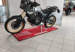 Yamaha Ténéré 700 Explore Edition (2023 - 25) usata