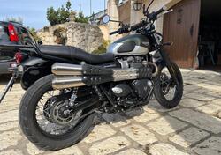 Triumph Street Scrambler 900 (2019 - 20) usata