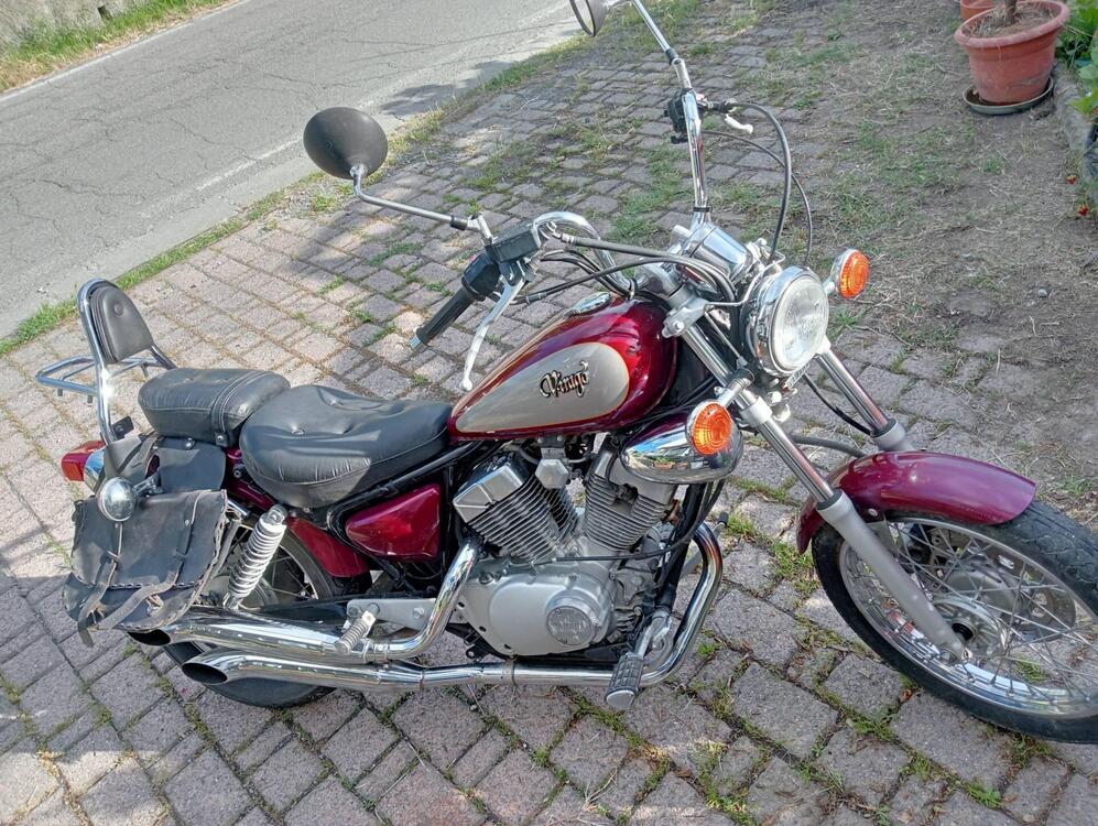 Yamaha XV 250 (1995 - 97) (4)