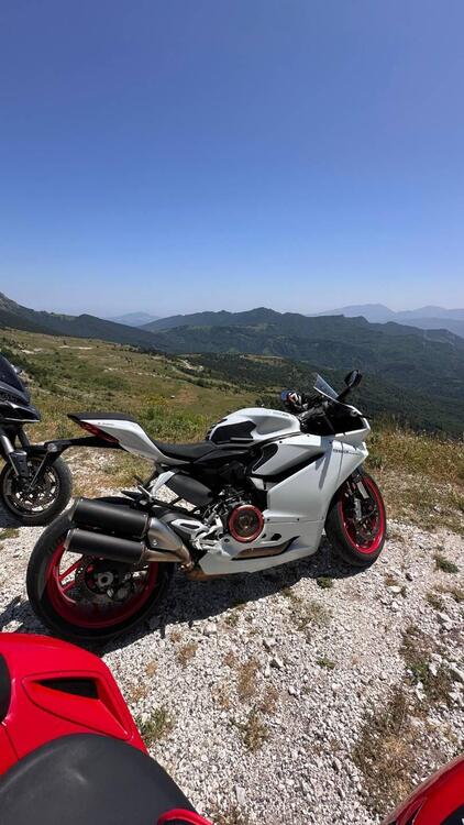 Ducati 959 Panigale (2016 - 19) (2)