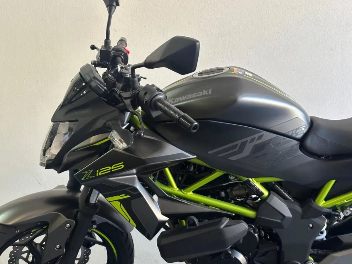 Kawasaki Z 125 (2025 - 26) (5)