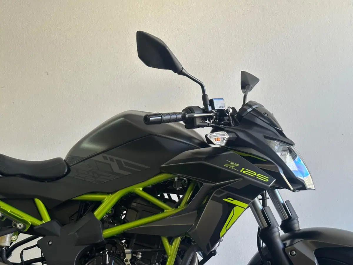 Kawasaki Z 125 (2025 - 26) (8)