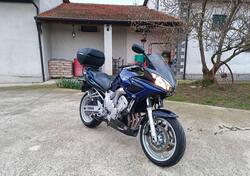 Yamaha FZ6 Fazer (2004 - 07) usata