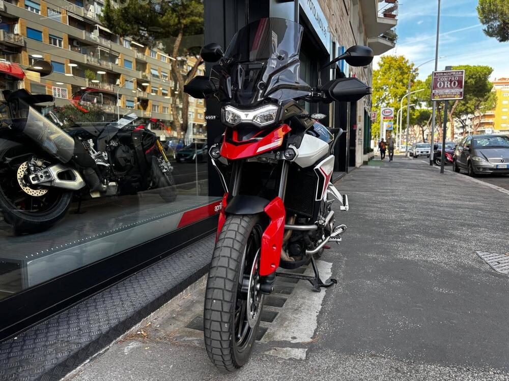 Triumph Tiger 900 GT Aragón Edition (2023 - 24) (5)