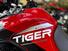 Triumph Tiger 900 GT Aragón Edition (2023 - 24) (13)
