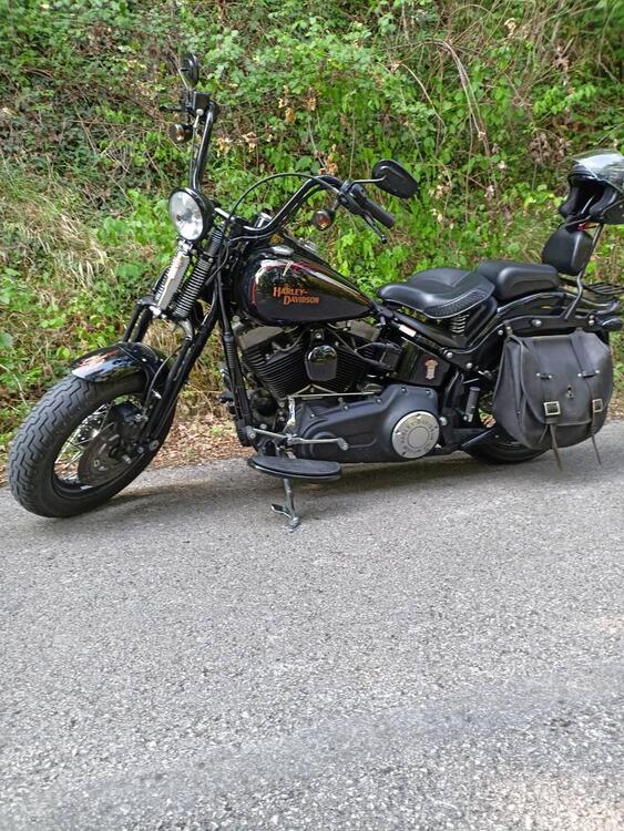 Harley-Davidson 1584 Cross Bones (2008 - 11) - FLSTSB (4)