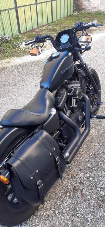 Harley-Davidson 883 Iron (2009 - 11) - XL 883N (4)