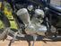 Honda VT 600 C Shadow (1989 - 02) (7)
