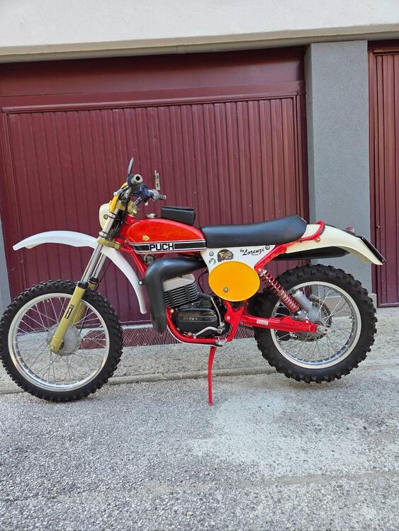 Puch Frigerio GS 175 regolarità  (2)