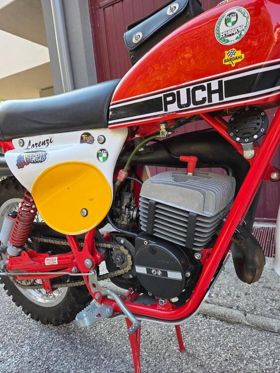 Puch Frigerio GS 175 regolarità  (3)