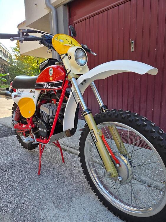 Puch Frigerio GS 175 regolarità  (4)