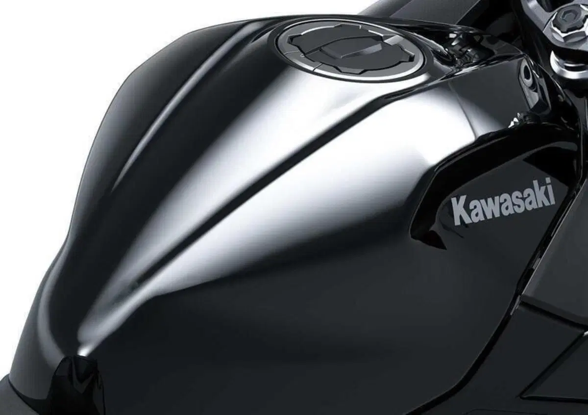Kawasaki Ninja 500 (2024 - 26) (3)