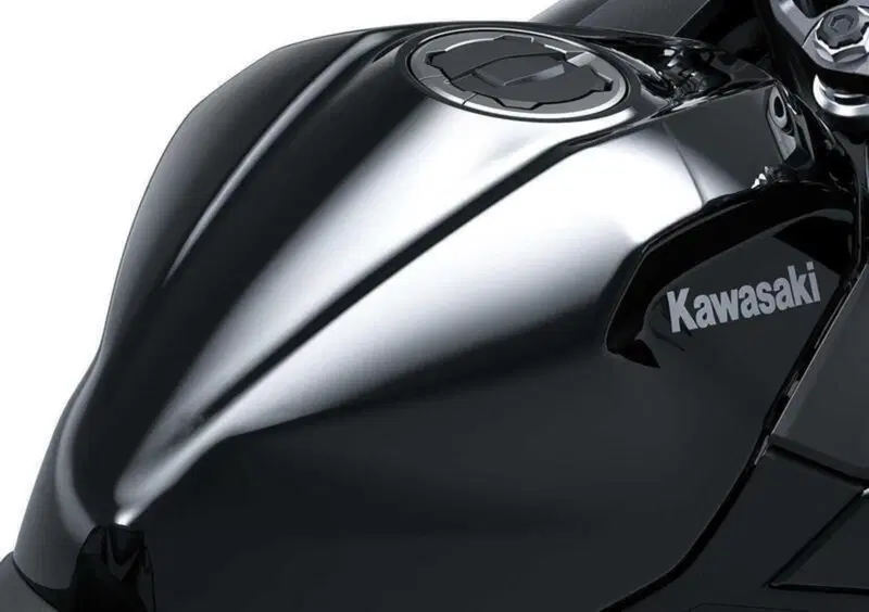 Kawasaki Ninja 500 (2024 - 26) (3)