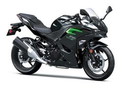 Kawasaki Ninja 500 (2024 - 26) nuova