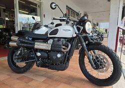 Triumph Street Scrambler 900 (2019 - 20) usata