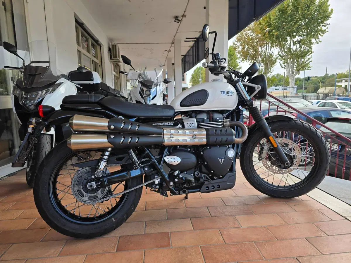 Triumph Street Scrambler 900 (2019 - 20) (7)
