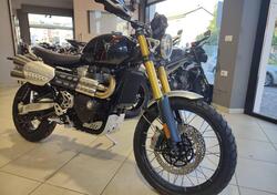 Triumph Scrambler 1200 XE (2024 - 25) usata