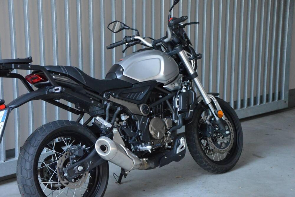 Voge Trofeo 300ACX Scrambler (2021 - 25) (3)