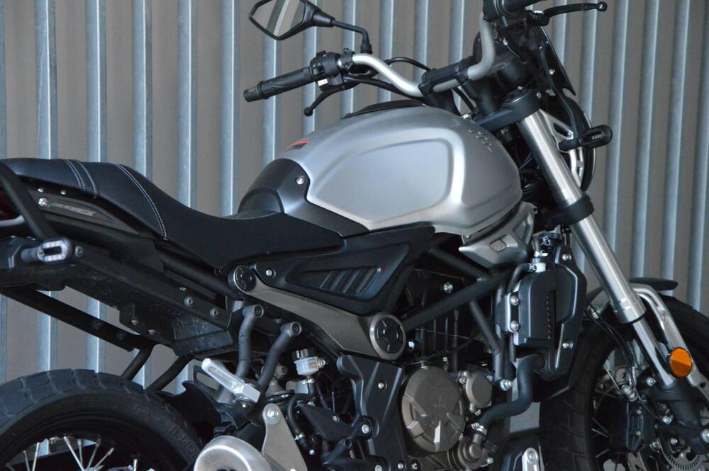 Voge Trofeo 300ACX Scrambler (2021 - 25) (4)