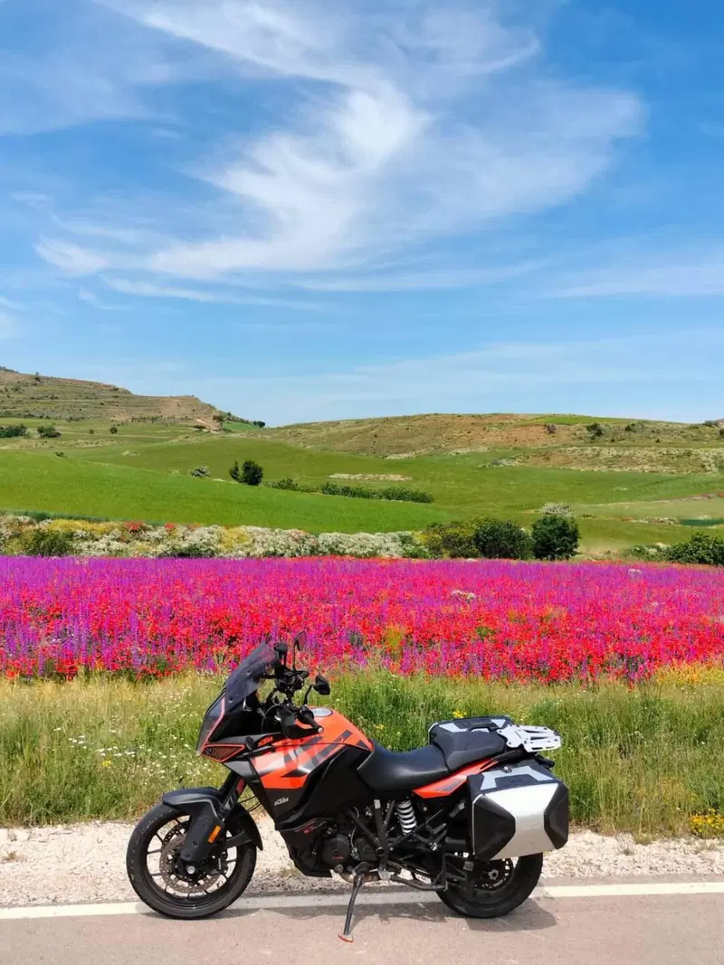 KTM 1290 Super Adventure S (2017 - 20) (2)