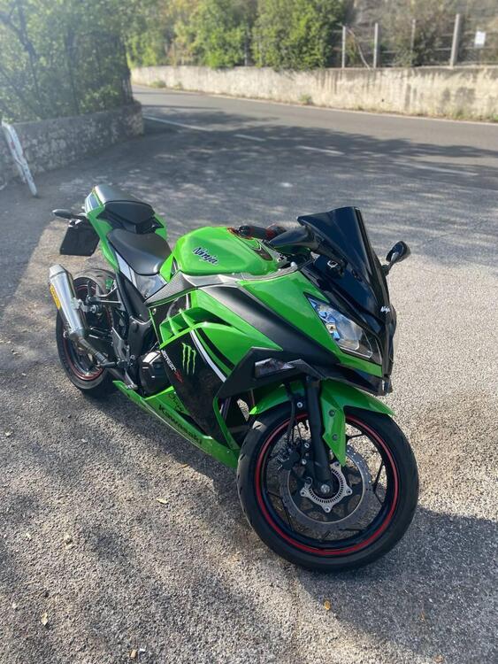 Kawasaki Ninja 300 ABS (2012 - 16)
