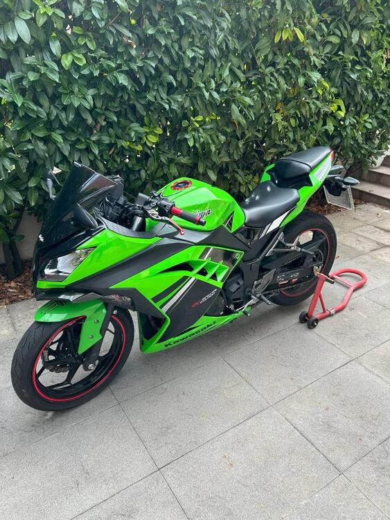 Kawasaki Ninja 300 ABS (2012 - 16) (2)