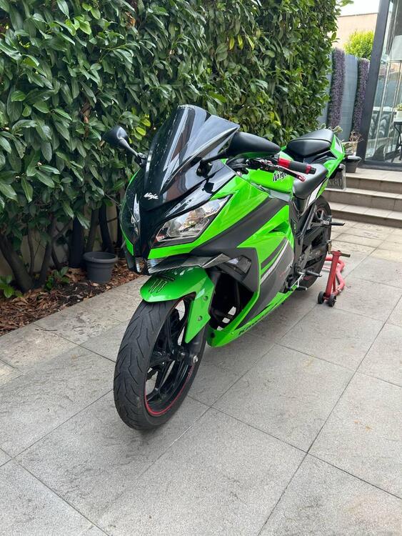 Kawasaki Ninja 300 ABS (2012 - 16) (3)
