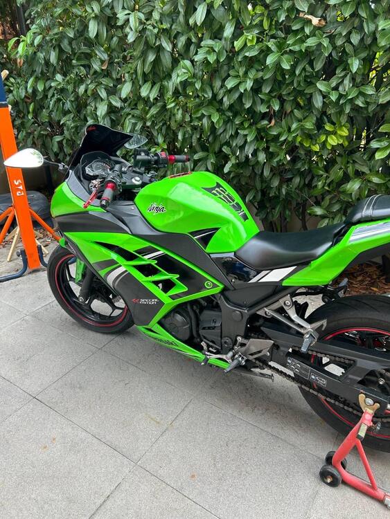 Kawasaki Ninja 300 ABS (2012 - 16) (4)
