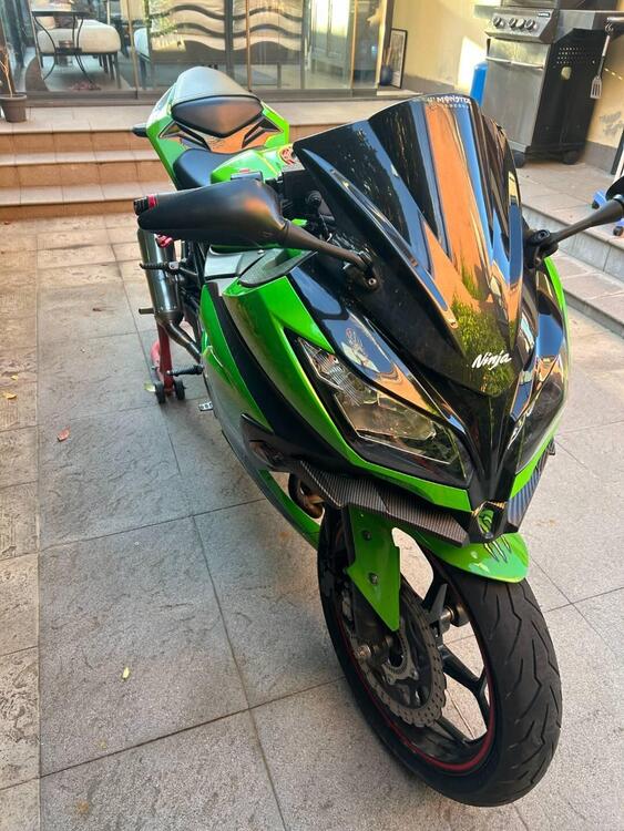 Kawasaki Ninja 300 ABS (2012 - 16) (5)