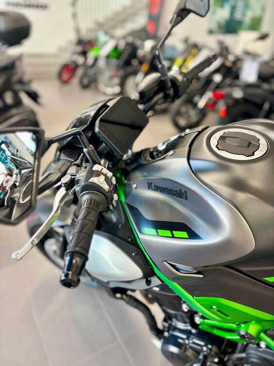 Kawasaki Z 900 (2025 - 26) (5)