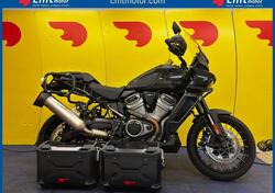 Harley-Davidson Pan America 1250 Special (2020 - 25) usata