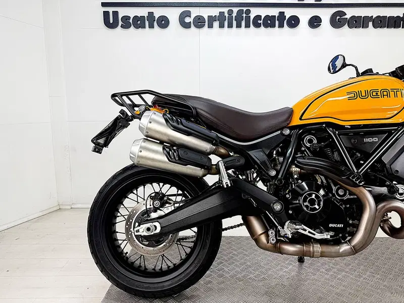 Ducati Scrambler 1100 Tribute Pro (2022 - 24) (7)