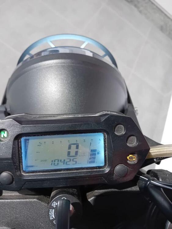 Mash Italia Dirt Track 650 (2019 - 20) (4)