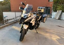 Benelli TRK 502X (2021 - 25) usata