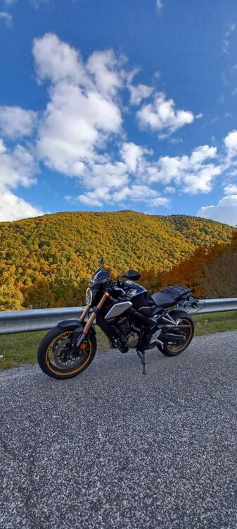 Honda CB 650 R (2019 - 20)