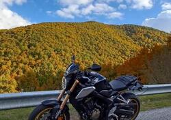 Honda CB 650 R (2019 - 20) usata