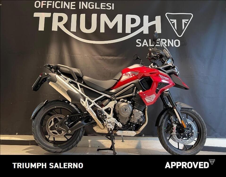 Triumph Tiger 1200 GT Pro (2024 - 25)
