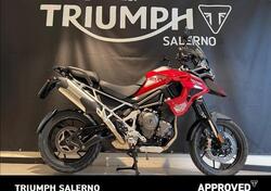 Triumph Tiger 1200 GT Pro (2024 - 25) usata