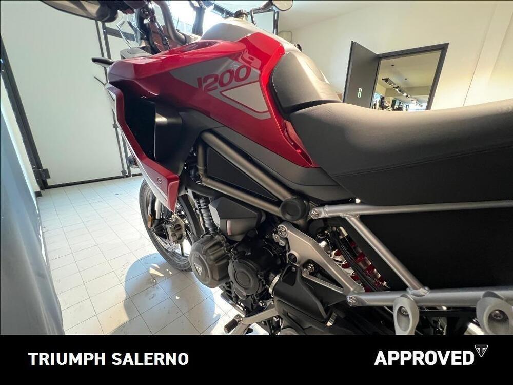 Triumph Tiger 1200 GT Pro (2024 - 25) (4)